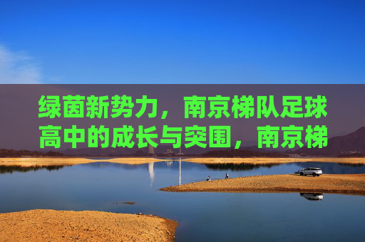 绿茵新势力,南京梯队足球高中的成长与突围,南京梯队足球高中,绿茵新势力的成长突围