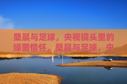 桑晨与足球,央视镜头里的绿茵情怀,桑晨与足球,央视镜头里的绿茵情怀