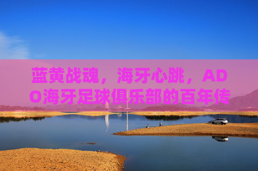 蓝黄战魂,海牙心跳,ADO海牙足球俱乐部的百年传承与城市记忆,蓝黄战魂与海牙心跳,ADO海牙的百年传承与城市记忆