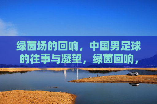 绿茵场的回响,中国男足球的往事与凝望,绿茵回响,中国足球往事凝望