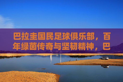 巴拉圭国民足球俱乐部,百年绿茵传奇与坚韧精神,巴拉圭国民足球俱乐部,百年绿茵坚韧传奇