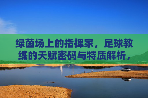 绿茵场上的指挥家，足球教练的天赋密码与特质解析，绿茵场指挥家，足球教练的天赋密码与特质