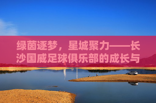 绿茵逐梦,星城聚力——长沙国威足球俱乐部的成长与担当,绿茵逐梦,星城聚力——长沙国威足球俱乐部的成长担当