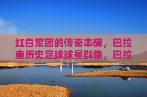 红白军团的传奇丰碑,巴拉圭历史足球球星群像,巴拉圭红白军团,历史足球星群的传奇丰碑