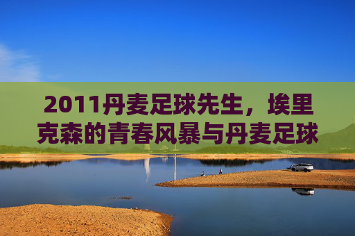 2011丹麦足球先生，埃里克森的青春风暴与丹麦足球的新图腾，2011丹麦足球先生埃里克森，青春风暴铸就丹麦足球新图腾