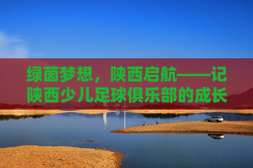 绿茵梦想,陕西启航——记陕西少儿足球俱乐部的成长之路,绿茵梦想启航,陕西少儿足球成长记