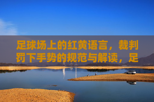 足球场上的红黄语言，裁判罚下手势的规范与解读，足球场上的红黄语言，裁判手势规范与解读
