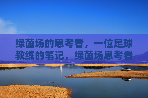 绿茵场的思考者,一位足球教练的笔记,绿茵场思考者,一位足球教练的笔记