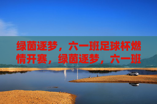 绿茵逐梦，六一班足球杯燃情开赛，绿茵逐梦，六一班足球杯燃情开赛