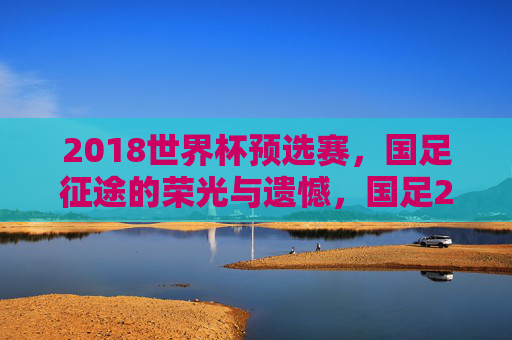 2018世界杯预选赛,国足征途的荣光与遗憾,国足2018世界杯预选赛征途,荣光与遗憾