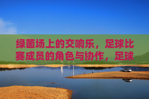 绿茵场上的交响乐,足球比赛成员的角色与协作,足球绿茵场,角色与协作的交响乐