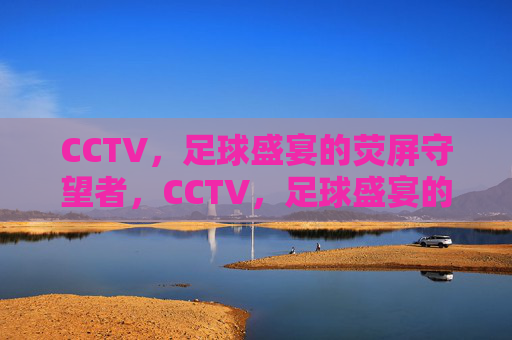 CCTV,足球盛宴的荧屏守望者,CCTV,足球盛宴的荧屏守望者