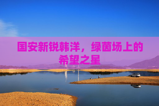 国安新锐韩洋,绿茵场上的希望之星