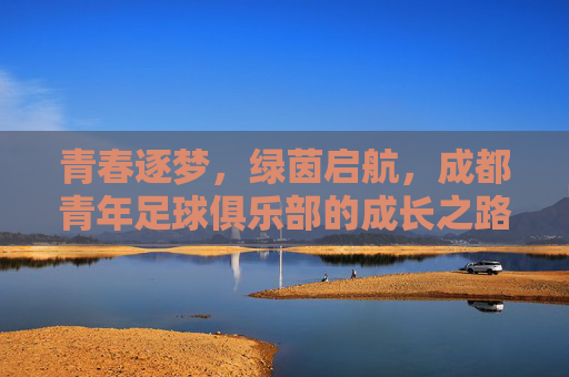 青春逐梦，绿茵启航，成都青年足球俱乐部的成长之路，青春逐梦，绿茵启航，成都青年足球俱乐部的成长之路