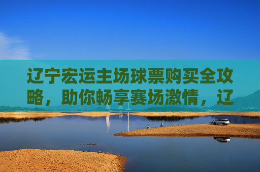 辽宁宏运主场球票购买全攻略，助你畅享赛场激情，辽宁宏运主场球票购买全攻略，畅享赛场激情