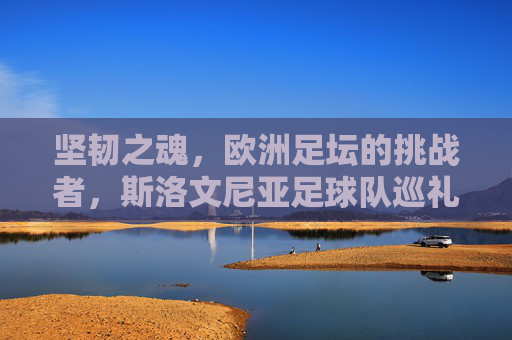 坚韧之魂,欧洲足坛的挑战者,斯洛文尼亚足球队巡礼,坚韧之魂,斯洛文尼亚,欧洲足坛的挑战者巡礼