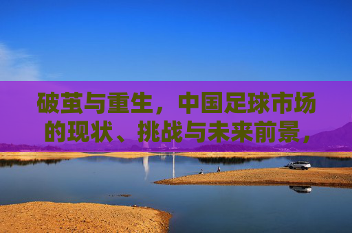 破茧与重生,中国足球市场的现状、挑战与未来前景,破茧与重生,中国足球市场的现状、挑战与未来
