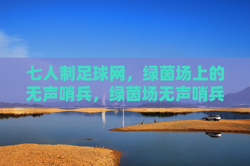 七人制足球网,绿茵场上的无声哨兵,绿茵场无声哨兵,七人制足球网