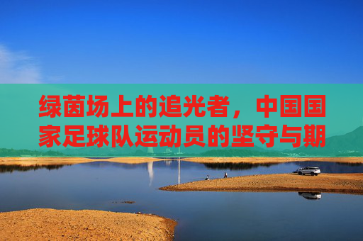 绿茵场上的追光者,中国国家足球队运动员的坚守与期待,绿茵追光者,国足的坚守与期待
