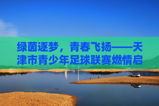 绿茵逐梦，青春飞扬——天津市青少年足球联赛燃情启幕，绿茵逐梦，青春飞扬——天津市青少年足球联赛燃情启幕