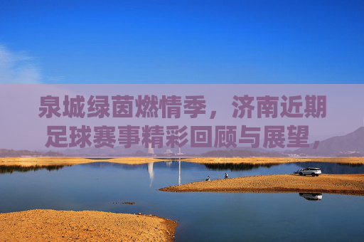 泉城绿茵燃情季,济南近期足球赛事精彩回顾与展望,泉城绿茵燃情季,济南足球赛事回顾与展望