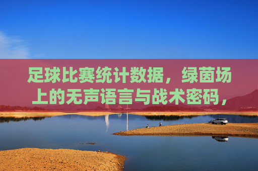 足球比赛统计数据,绿茵场上的无声语言与战术密码,足球统计数据,绿茵场的无声战术密码