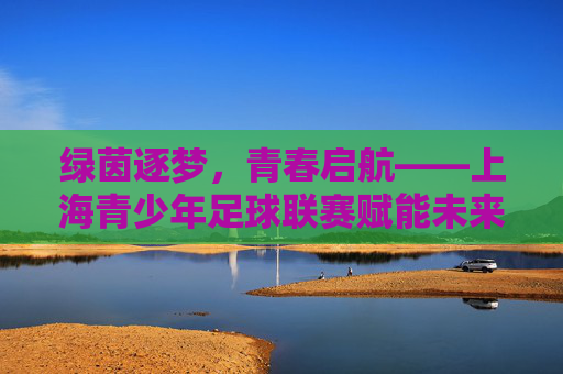 绿茵逐梦，青春启航——上海青少年足球联赛赋能未来足球之星，逐梦绿茵，青春启航——上海青少年足球联赛育未来之星