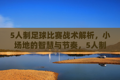 5人制足球比赛战术解析，小场地的智慧与节奏，5人制足球小场地战术解析，智慧与节奏的掌控