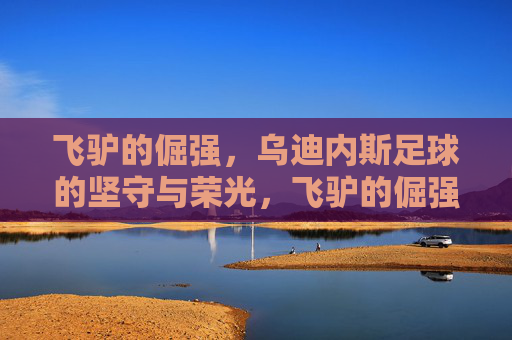 飞驴的倔强，乌迪内斯足球的坚守与荣光，飞驴的倔强，乌迪内斯的坚守与荣光