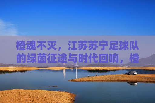 橙魂不灭,江苏苏宁足球队的绿茵征途与时代回响,橙魂不灭,江苏苏宁足球队的绿茵征途与时代回响
