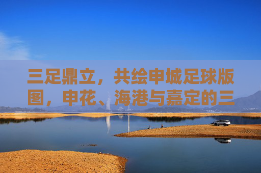 三足鼎立，共绘申城足球版图，申花、海港与嘉定的三色传奇，申城三足鼎立，共绘足球三色传奇