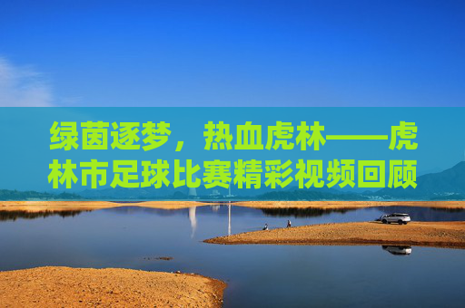 绿茵逐梦，热血虎林——虎林市足球比赛精彩视频回顾，虎林绿茵逐梦，足球比赛精彩视频回顾