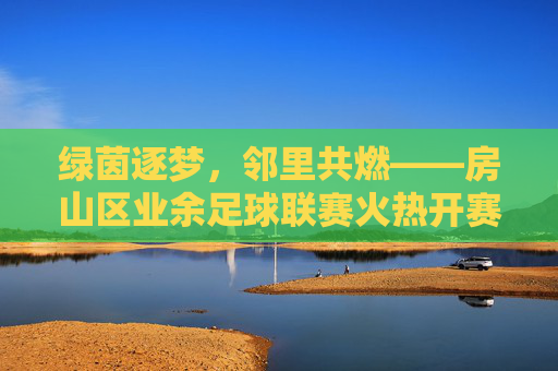 绿茵逐梦,邻里共燃——房山区业余足球联赛火热开赛,绿茵逐梦,邻里共燃——房山区业余足球联赛火热开赛
