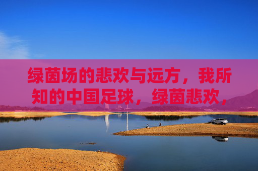 绿茵场的悲欢与远方,我所知的中国足球,绿茵悲欢,远方足梦——我所知的中国足球