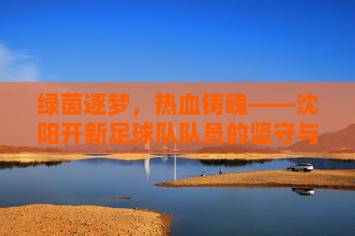 绿茵逐梦，热血铸魂——沈阳开新足球队队员的坚守与荣光，绿茵逐梦热血铸魂——沈阳开新队员的坚守与荣光