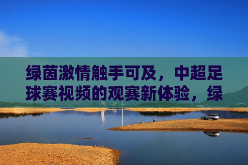 绿茵激情触手可及，中超足球赛视频的观赛新体验，绿茵激情触手可及，中超足球赛视频新体验