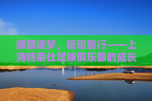 绿茵逐梦，砥砺前行——上海特莱仕足球俱乐部的成长与坚守，绿茵逐梦，砥砺前行——上海特莱仕足球俱乐部的成长与坚守