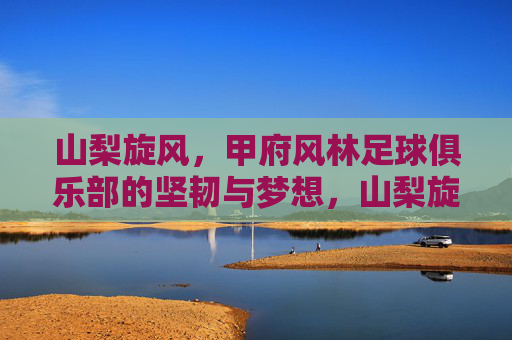 山梨旋风,甲府风林足球俱乐部的坚韧与梦想,山梨旋风,甲府风林的坚韧与梦想