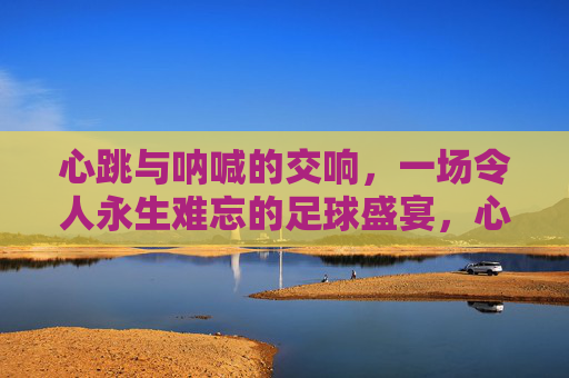 心跳与呐喊的交响,一场令人永生难忘的足球盛宴,心跳呐喊的足球交响永生难忘的盛宴