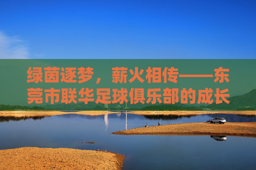 绿茵逐梦，薪火相传——东莞市联华足球俱乐部的成长之路，绿茵逐梦薪火传，联华足球俱乐部成长之路