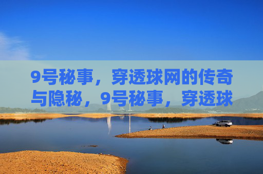 9号秘事,穿透球网的传奇与隐秘,9号秘事,穿透球网的传奇与隐秘
