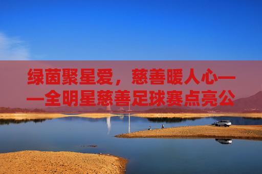 绿茵聚星爱，慈善暖人心——全明星慈善足球赛点亮公益之光，全明星慈善足球赛，绿茵聚爱，点亮公益