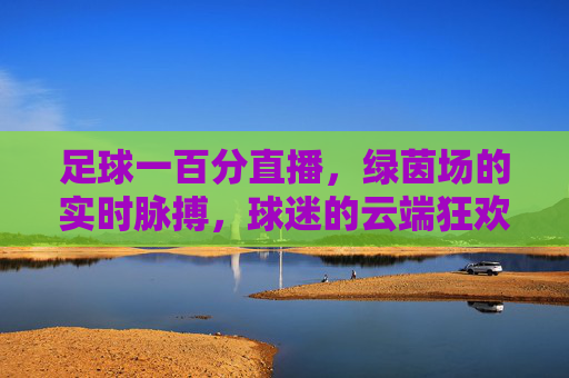 足球一百分直播，绿茵场的实时脉搏，球迷的云端狂欢，绿茵场实时脉动，球迷云端狂欢