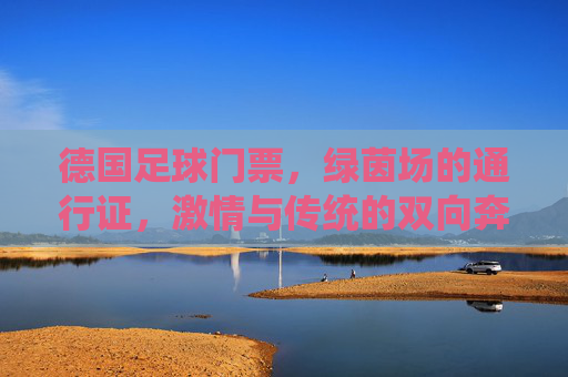 德国足球门票,绿茵场的通行证,激情与传统的双向奔赴,绿茵场通行证,德国足球激情与传统的双向奔赴