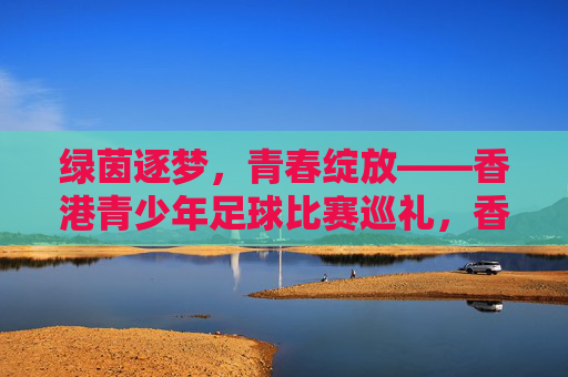绿茵逐梦，青春绽放——香港青少年足球比赛巡礼，香港青少年足球，青春逐梦绿茵场