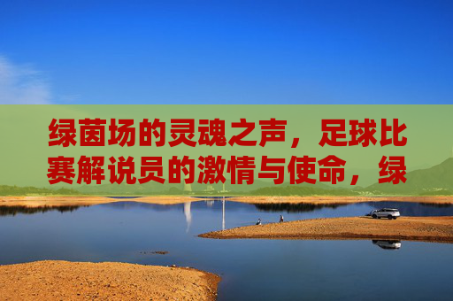 绿茵场的灵魂之声,足球比赛解说员的激情与使命,绿茵场灵魂之声,足球解说员的激情与使命
