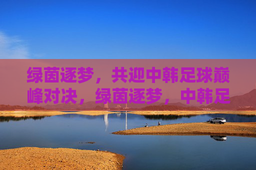 绿茵逐梦，共迎中韩足球巅峰对决，绿茵逐梦，中韩足球巅峰对决