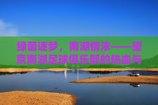 绿茵逐梦，南湖情浓——望京南湖足球俱乐部的热血与坚守，望京南湖，绿茵逐梦，热血南湖情