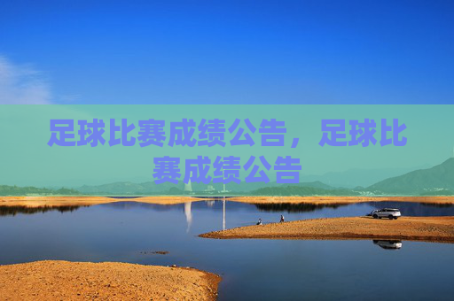 足球比赛成绩公告,足球比赛成绩公告