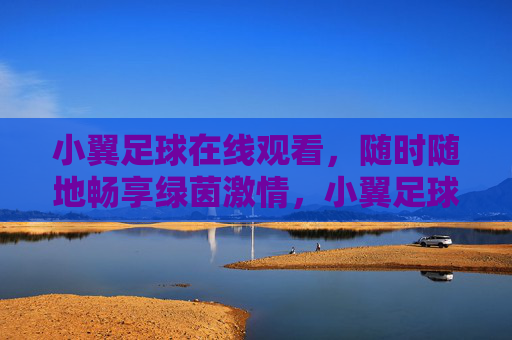 小翼足球在线观看,随时随地畅享绿茵激情,小翼足球在线观看,随时随地畅享绿茵激情